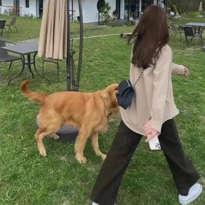 八角笼